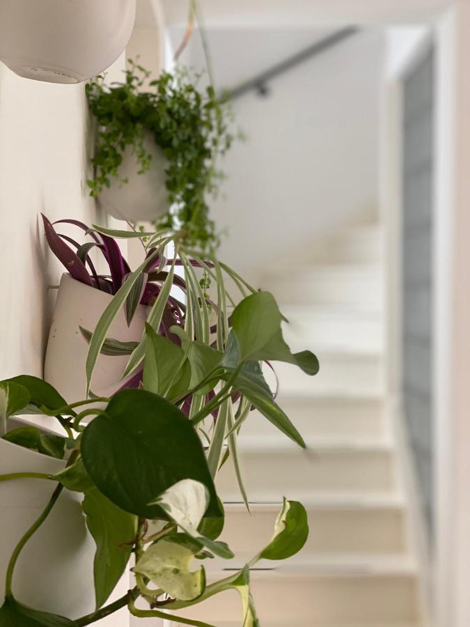 Romantic Wellness Bnb נורדוויק מראה חיצוני תמונה